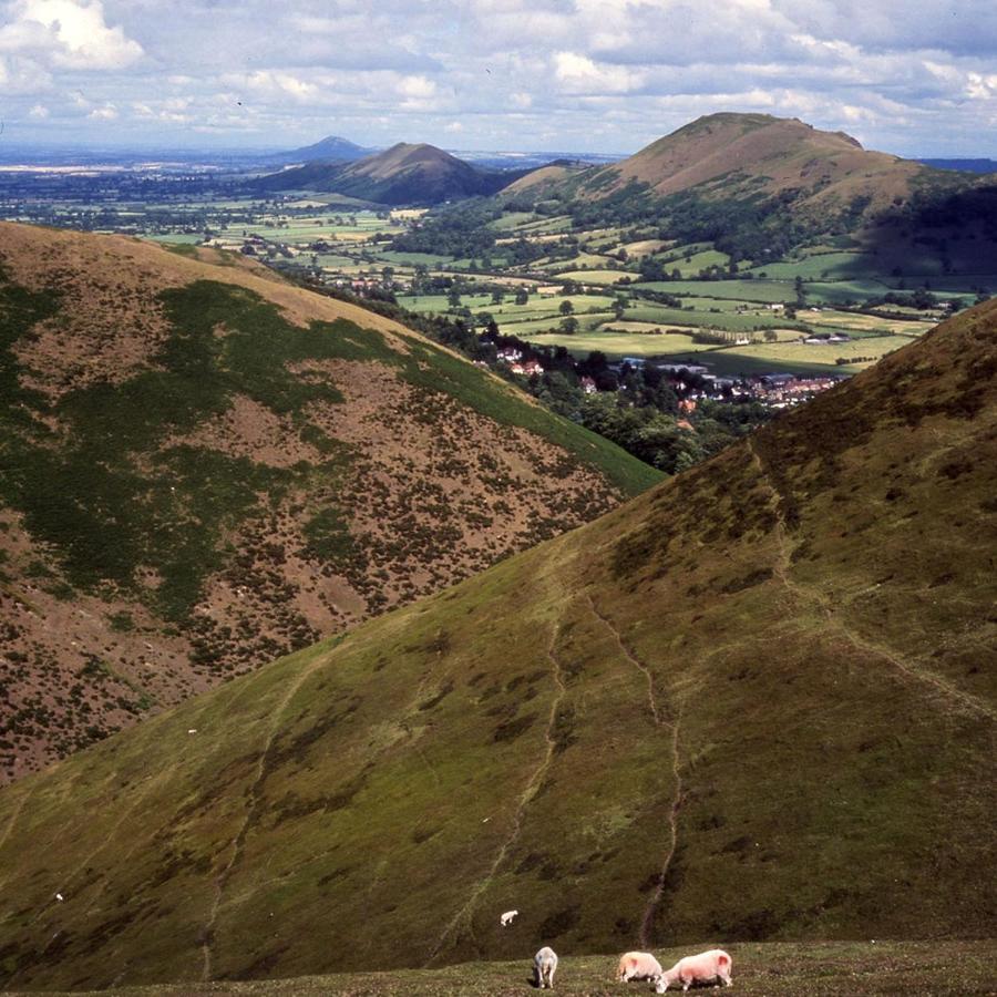 Victoria House Hotel Church Stretton Buitenkant foto